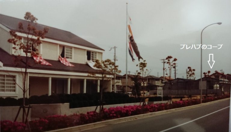 DSC_0173-768x441